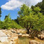 Καταρράκτης Κρέμαση