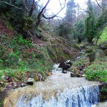 Γαλατσάδες Μικροί Χειμωνιάτικοι Χείμαρροι Στο Δρόμο Πριν Το Χωριό