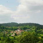 Κρυονερίτης Ιστιαίας Εύβοια