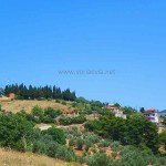 Βόρεια Εύβοια Κουρκουλοί