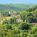 Γαλατσώνα Ευβοίας